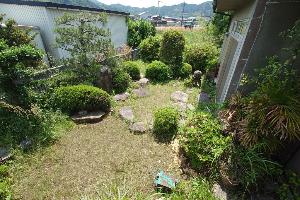 庭の写真