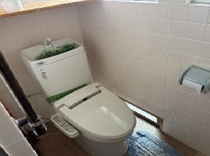 トイレの写真