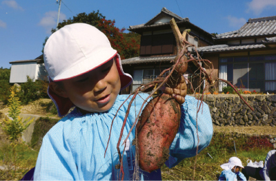 白い帽子をかぶり、青色のスモッグを着た園児が大きな掘りたての土のついたサツマイモを持ち上げている写真