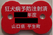 赤色の骨の形で、「狂犬病予防注射済 年度 山口県 平生町」 と白文字で書かれた注射済票の写真
