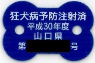 青色の骨の形で、「狂犬病予防注射済 平成30年度 山口県 第  号」 と白文字で書かれた注射済票の写真