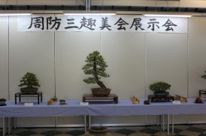 周防三趣美会展示会と書かれた紙の前に長机が設置され、盆栽が1列に展示されている様子を写した写真