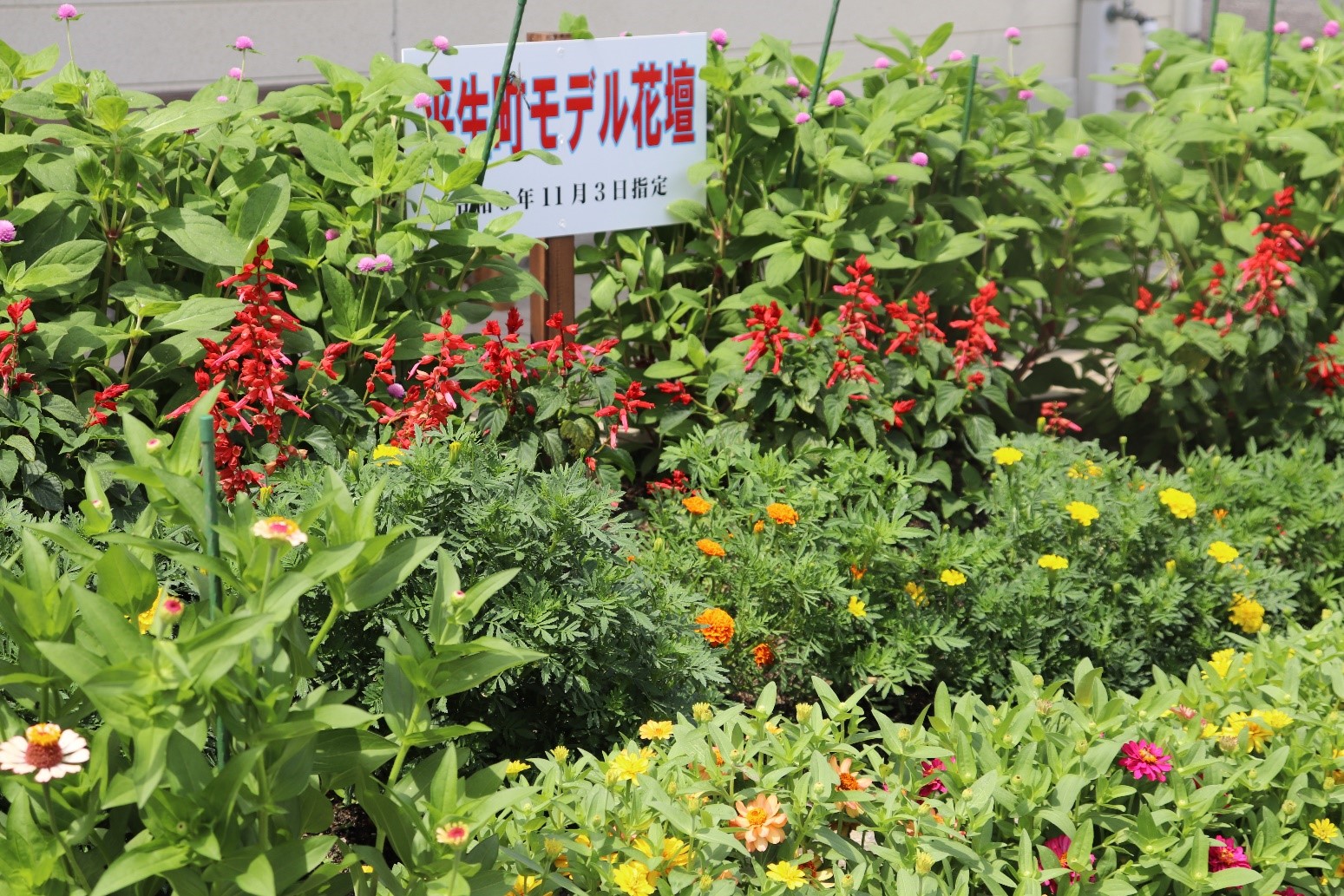 竪ヶ浜コミュニティ協議会