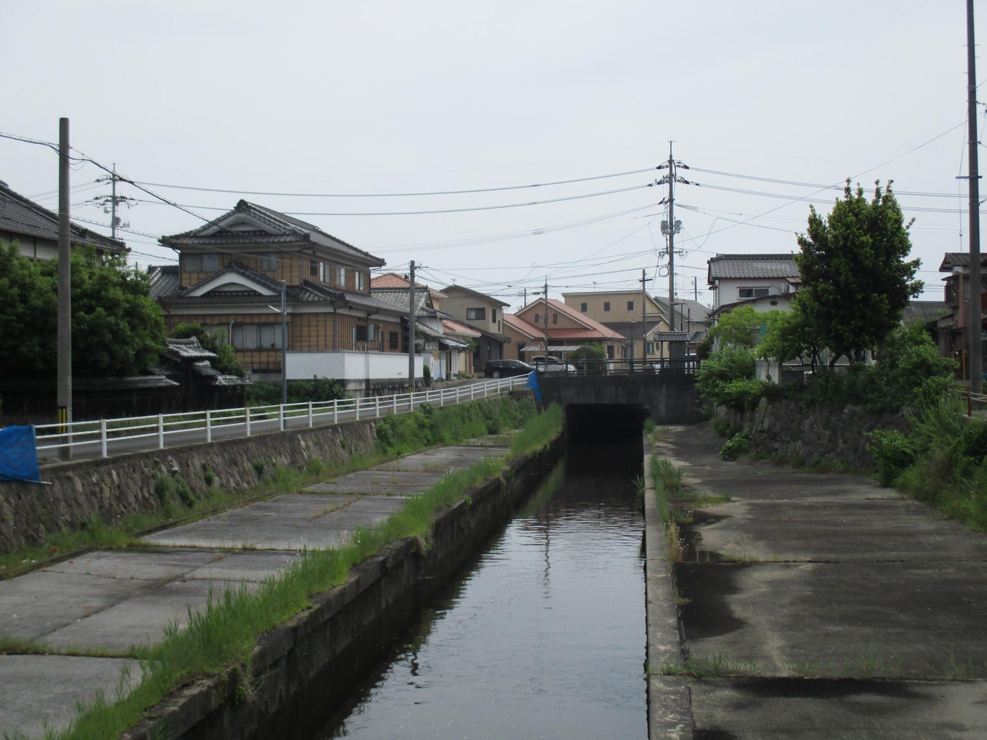 現在の写真