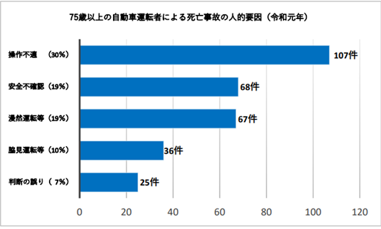 75歳以上の自動車運転者による死亡事故の人的要因（令和元年）帯グラフ