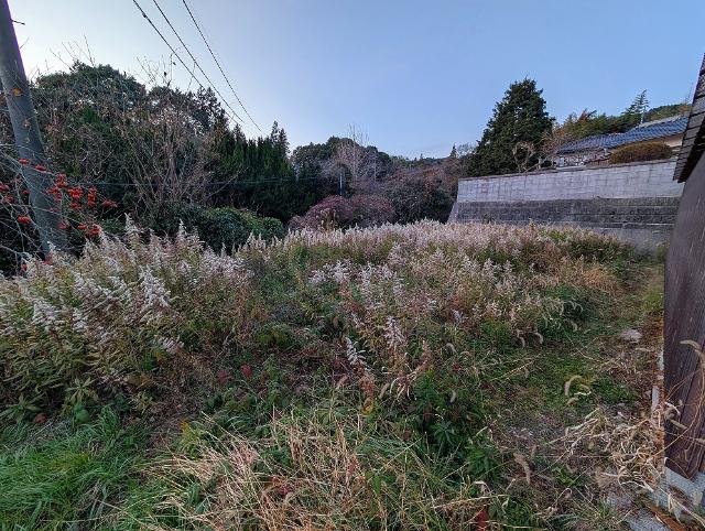 洋室の写真です