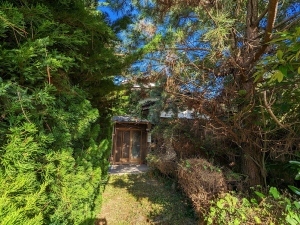 覆いかぶさるように緑色に生い茂り四方に枝わかれした木々に囲まれた茶色の家屋の写真