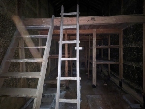 薄暗い木造の建物内で、木の柱と上に登る為のはしごが掛けられている蔵の写真