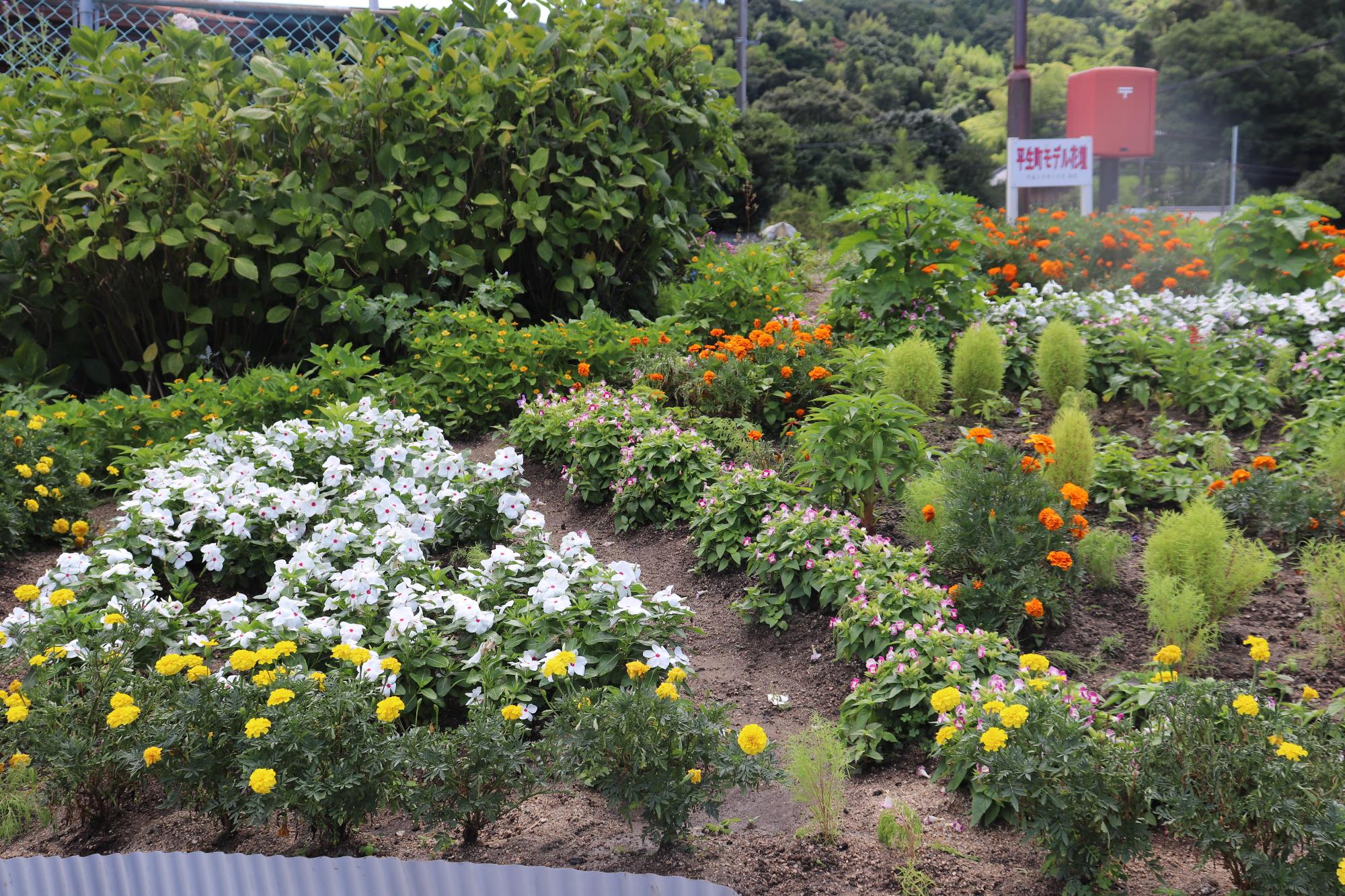 大野コミュニティの花壇