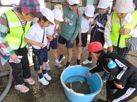 佐賀小学校で行われた遠足の様子
